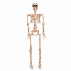 36" Posable Skeleton Halloween Prop