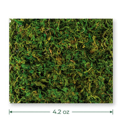 Natural Moss Decor - 4.2 oz