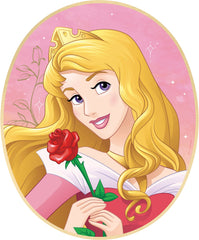 Disney Princess Once Upon a Time Frame Decorating Kit