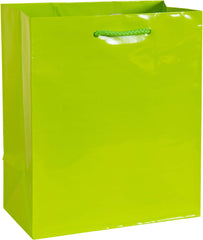 Glossy Bright Pink Gift Bag - Medium Size