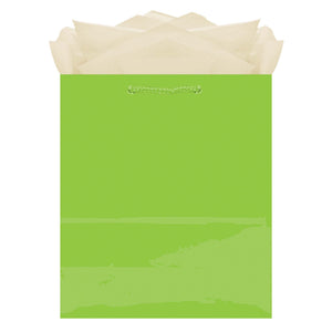 Urban Air - Paper Gift Bag, Assorted Colours, 9.5-in, for Birthday/Valentine's Day/Easter/Baby Shower
