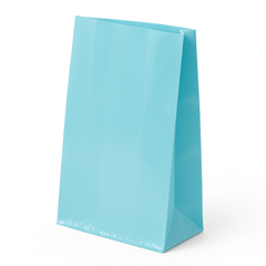 Small Plastic Party Treat Bags - 25 Pack