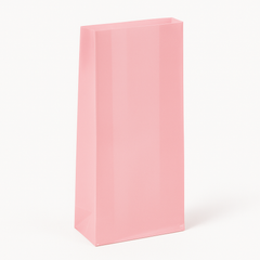 Large Pink Cello Treat Bags - 25 Pack for Birthday Parties