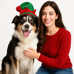 Christmas Elf Hat for Pets (Medium/Large)