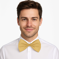 Dapper Gold Bow Tie Costume Accessory