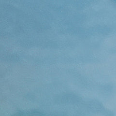 Peacock/Gold Petal Plates - Combo Pack 120/120