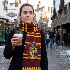 Harry Potter Gryffindor Scarf