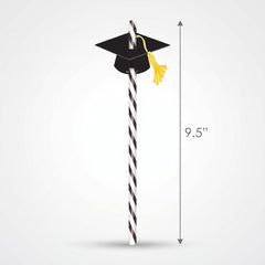 Graduation Cap Straws - Black & White Striped Paper Accessories, 12-Pack