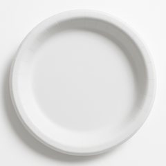 White 10" Round Paper Dinner Plates - Solid Color