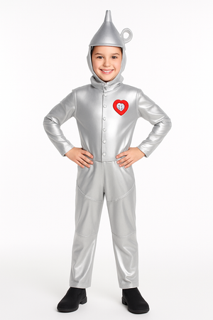 Boys Wizard of Oz Tin Man Halloween Costume - Toddler (3-4)