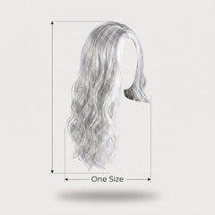 Long Glamorous Silver Wig - One Size