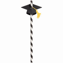 Graduation Cap Straws - Black & White Striped Paper Accessories, 12-Pack