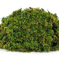 Natural Moss Decor - 4.2 oz