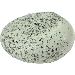 Splat Rocks - 12 Count