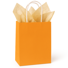 Caribbean Blue Small Kraft Gift Bag