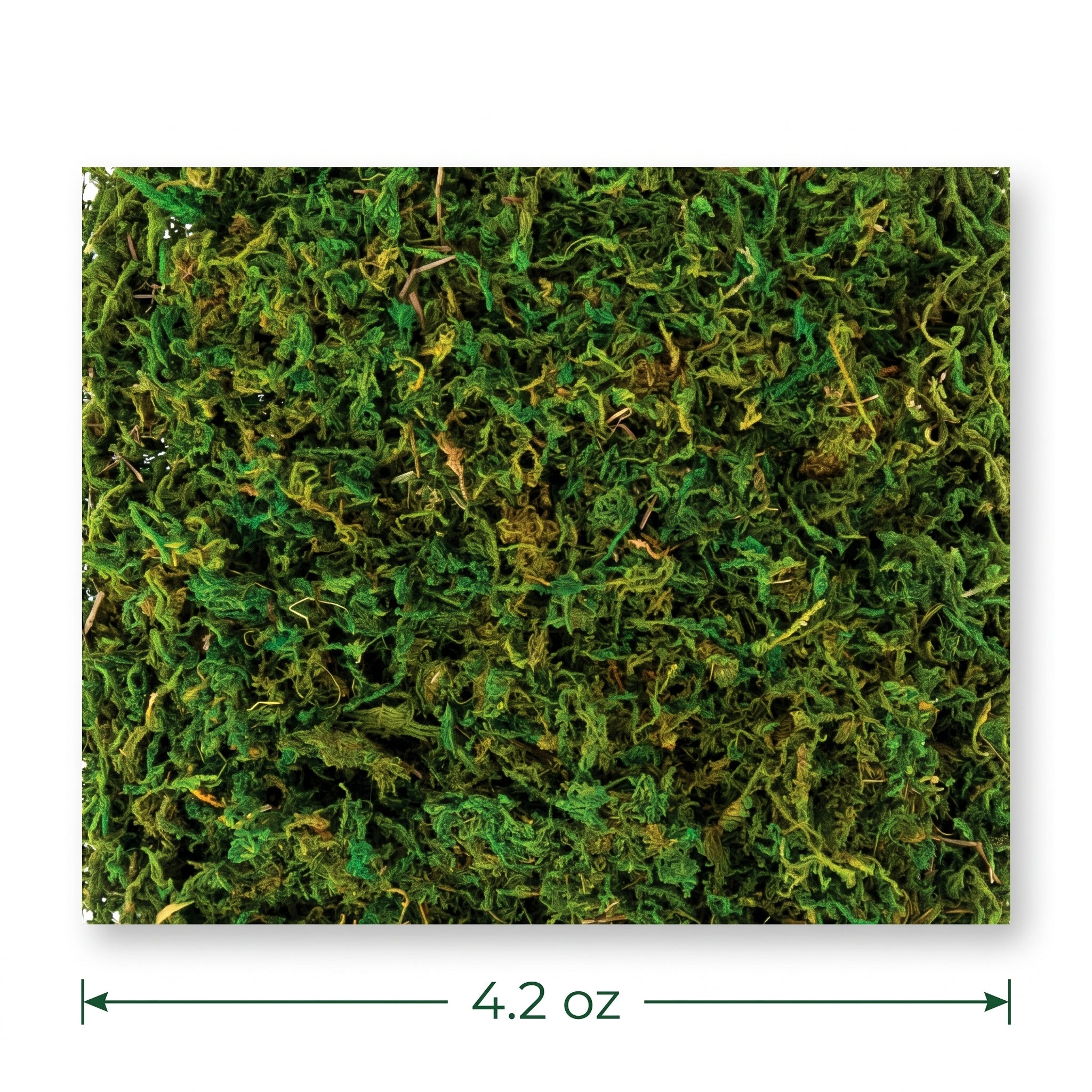 Natural Moss Decor - 4.2 oz