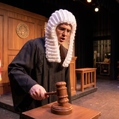 Judge Costume Wig - Traditional White Curls
