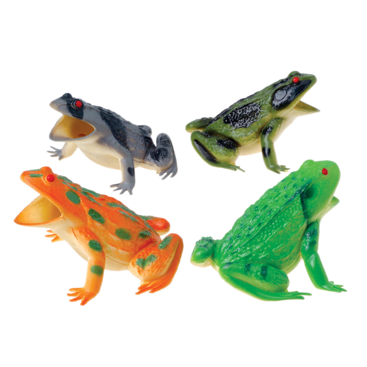 Large Squeaking Frogs