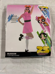 Blossom Powerpuff Girls Women's Costume - L/XL