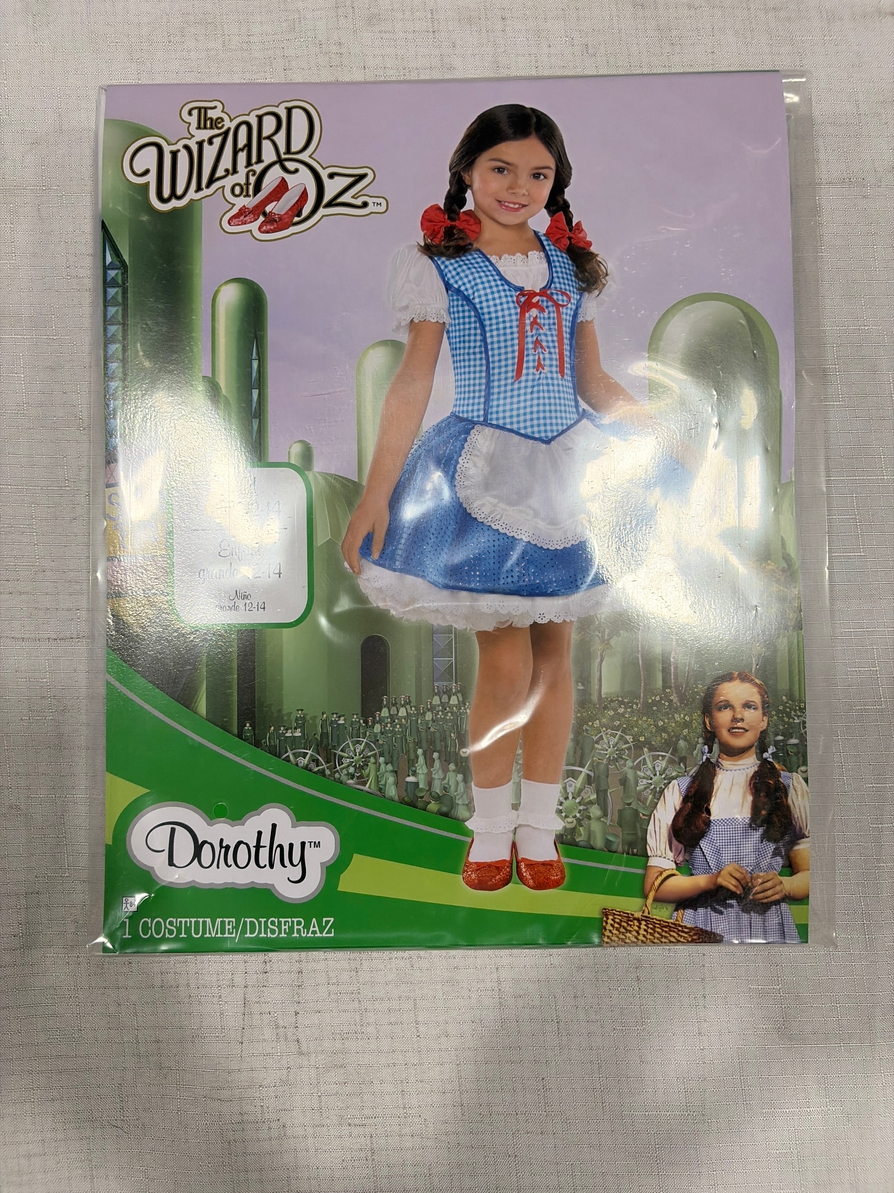 Kids' Wizard of Oz Dorothy Halloween Costume