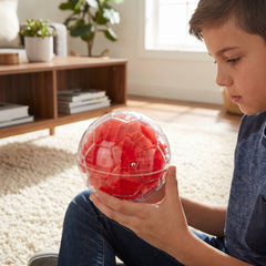 A-Maze-ing Ball Puzzle Toy