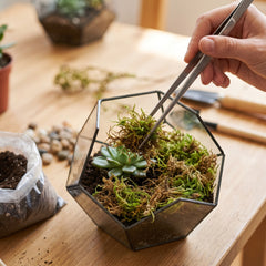 Natural Moss Decor - 4.2 oz