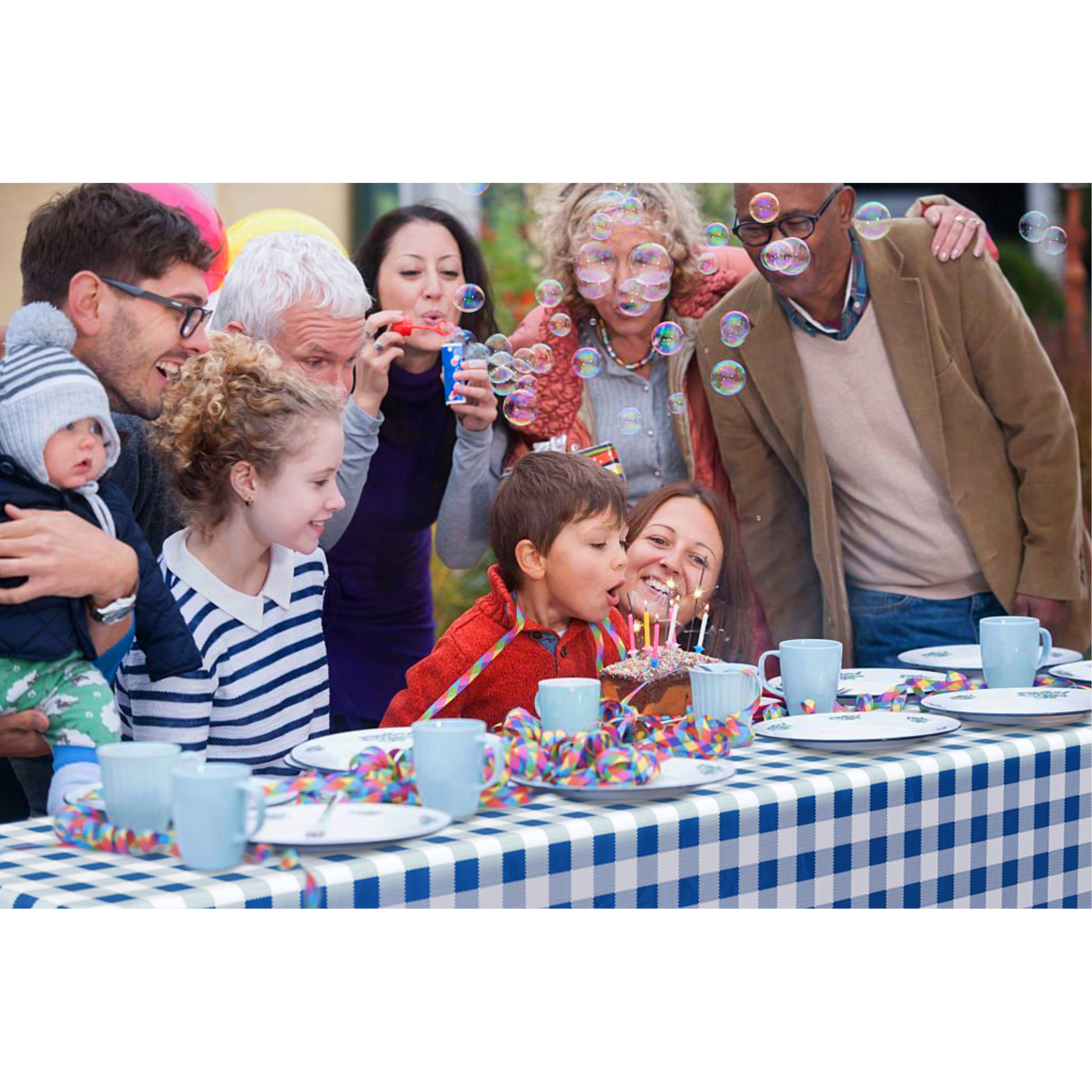 54 In. x 100 Ft. Cut to Size Plastic Table Cover | Blue Gingham