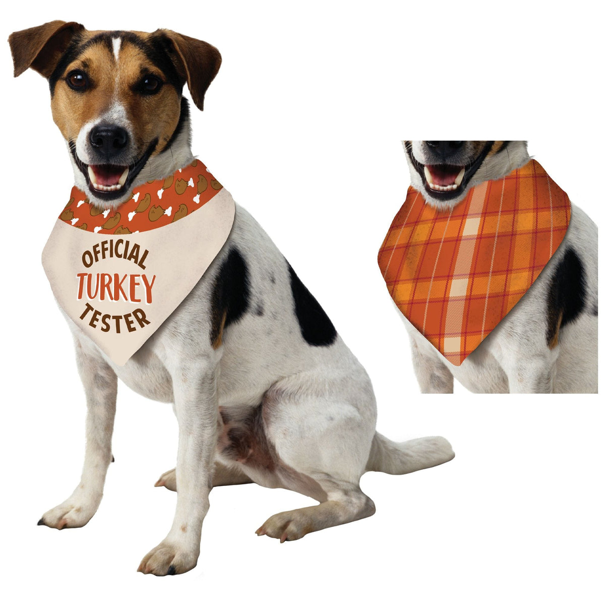 "Official Turkey Tester" Reversible Dog Bandana for Thanksgiving