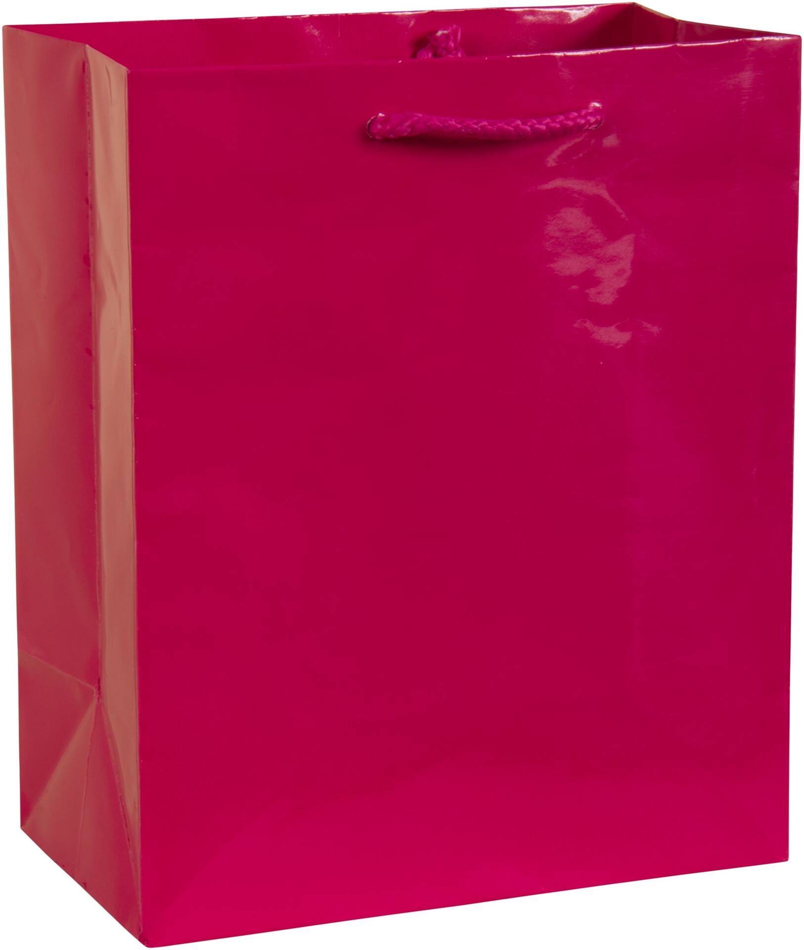 Glossy Bright Pink Gift Bag - Medium Size