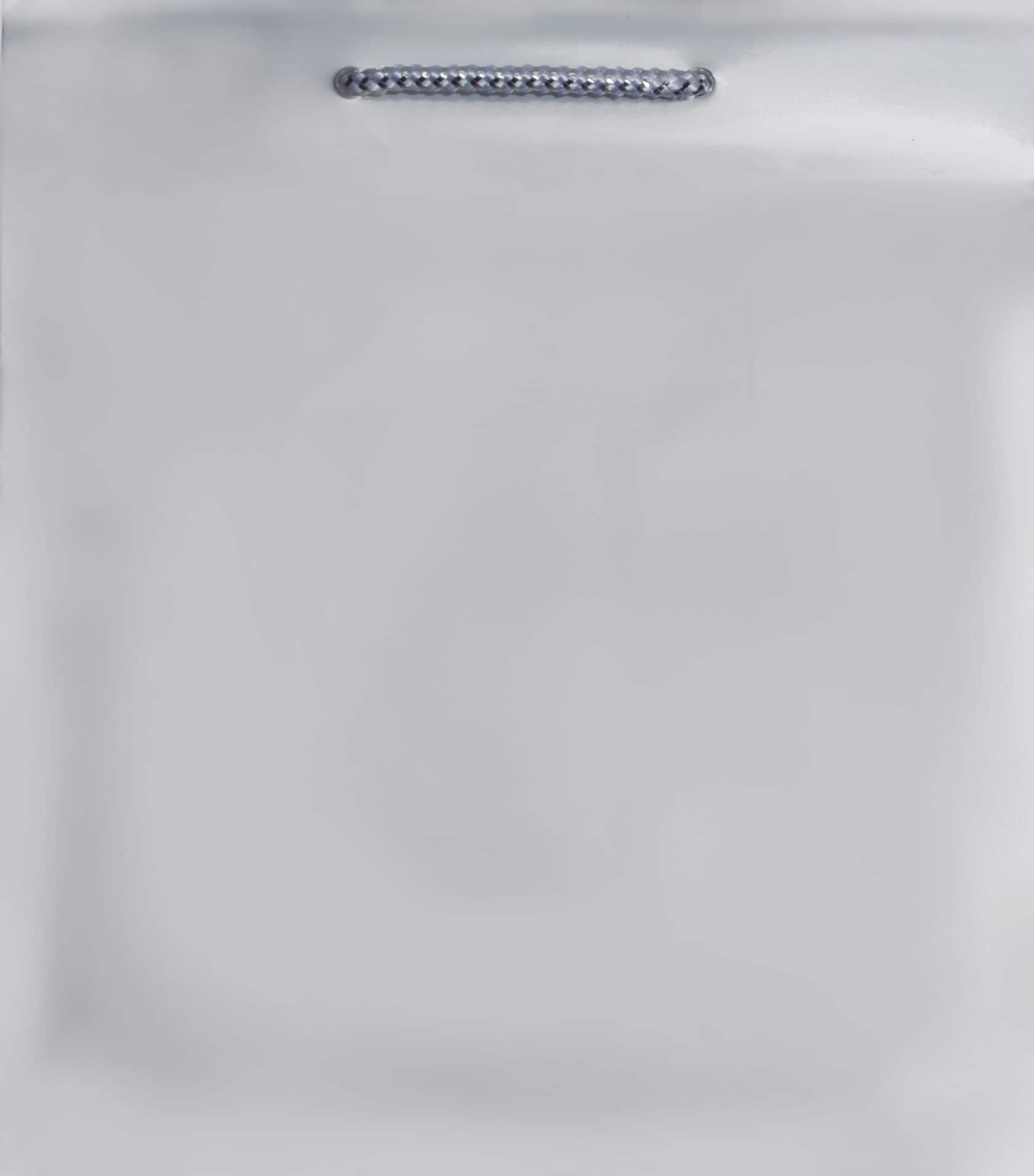 Glossy Bright Pink Gift Bag - Medium Size