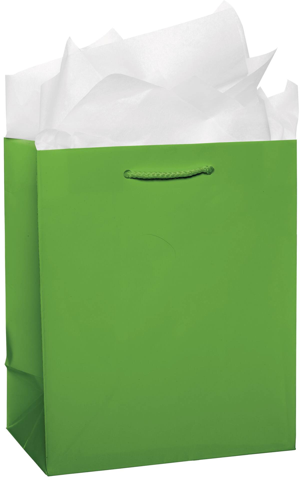 Glossy Bright Pink Gift Bag - Medium Size