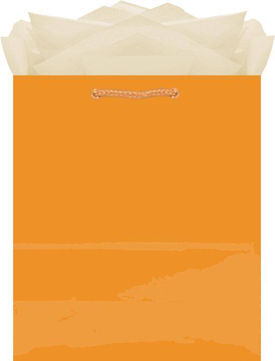 Glossy Bright Pink Gift Bag - Medium Size