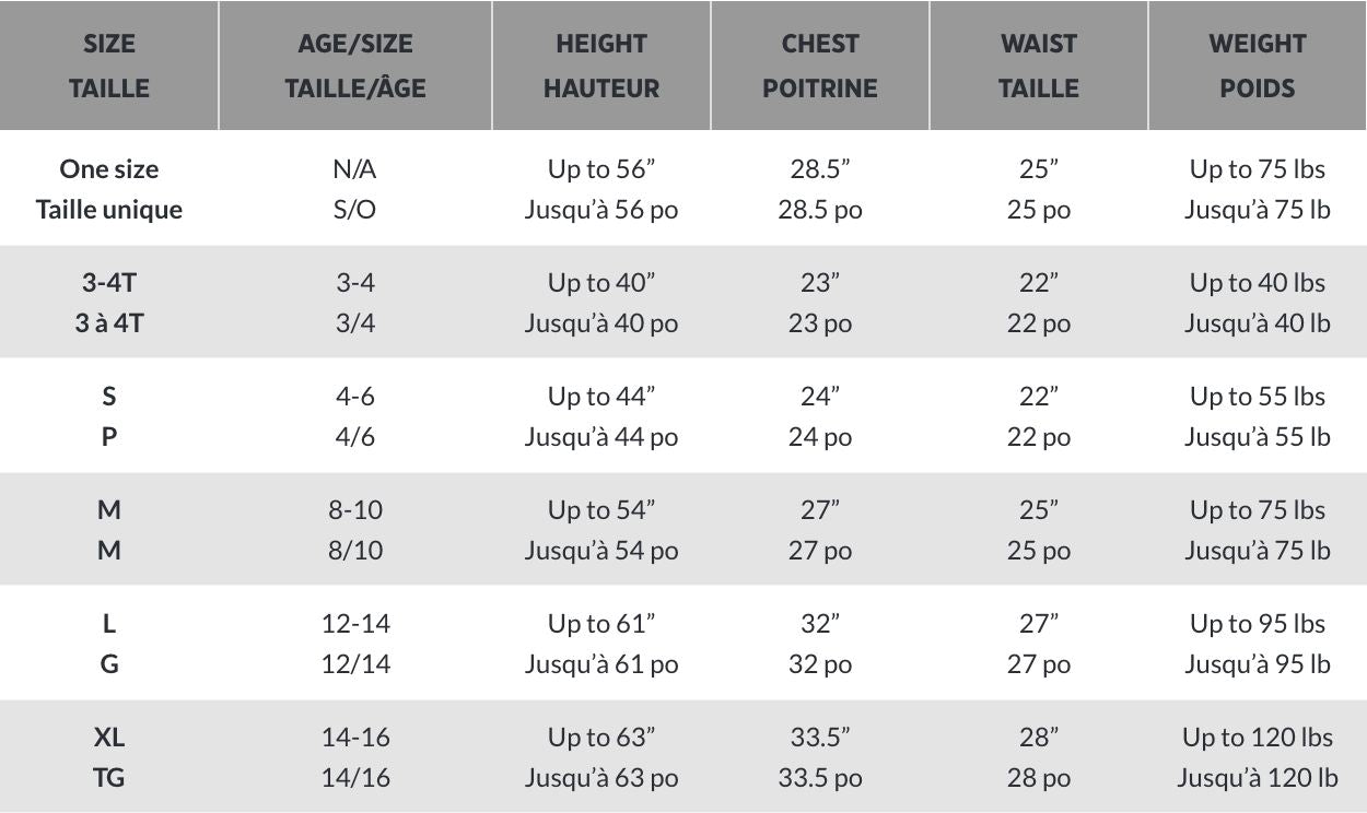 Disney Aladdin Princess Jasmine "Whole New World" Costume for Kids