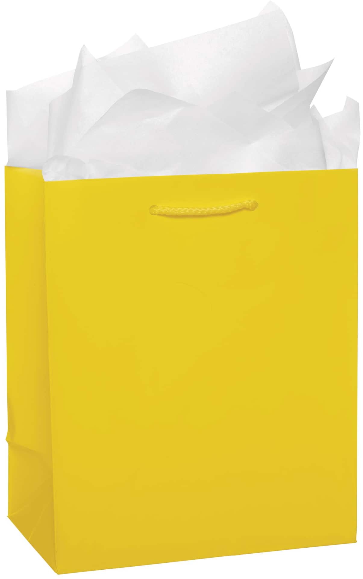 PMA - Paper Gift Bag, Assorted Colours, 9.5-in, for Birthday/Valentine's Day/Easter/Baby Shower
