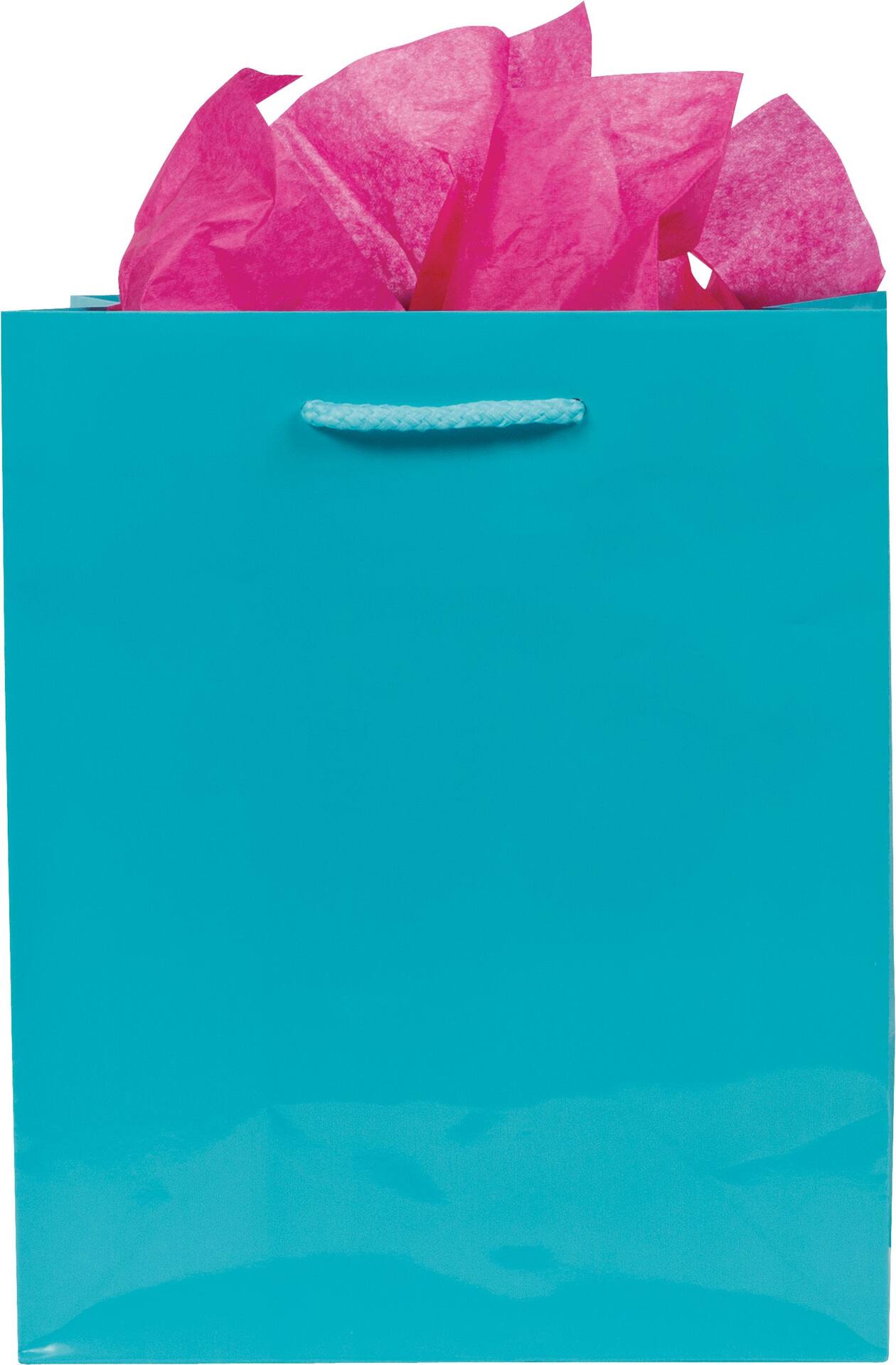 Urban Air - Paper Gift Bag, Assorted Colours, 9.5-in, for Birthday/Valentine's Day/Easter/Baby Shower