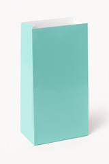 Mini Robin's Egg Blue Glossy Paper Bag
