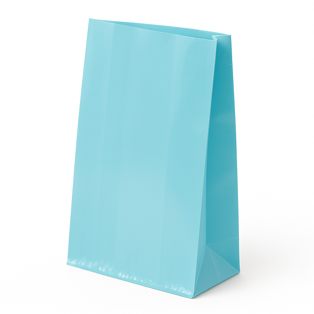 Small Plastic Party Treat Bags - 25 Pack