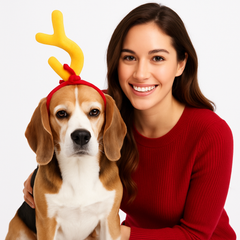 Dr. Seuss The Grinch Max Pet Headband - Christmas Costume Accessory