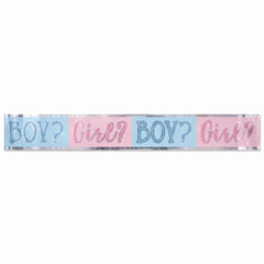 Pink or Blue? Gender Reveal Banner
