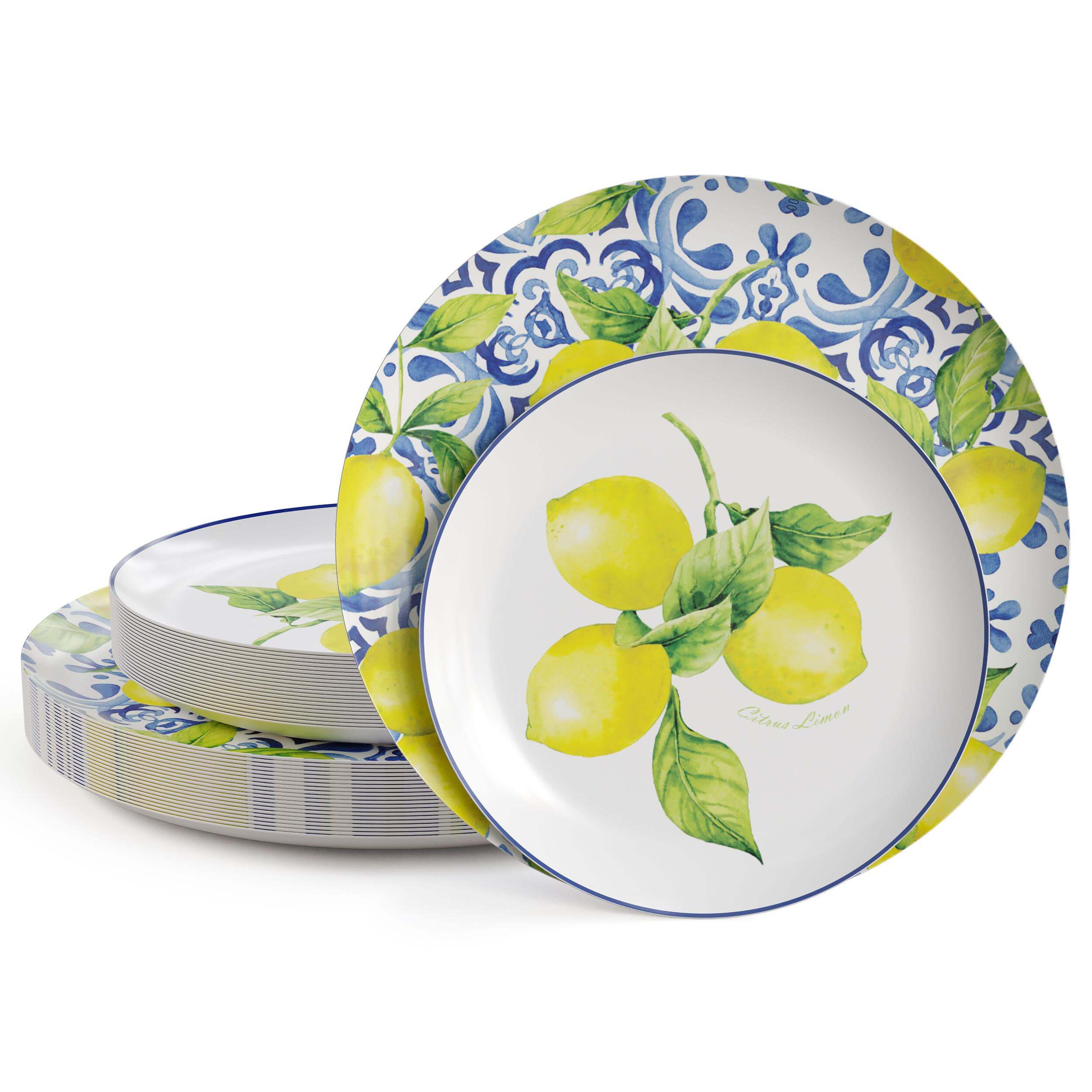 8 In. Earthtrends Tuscan Paper Plates | 120 Count