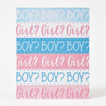 Pink or Blue? Gender Reveal Party Invitations