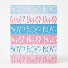 Pink or Blue? Gender Reveal Party Invitations