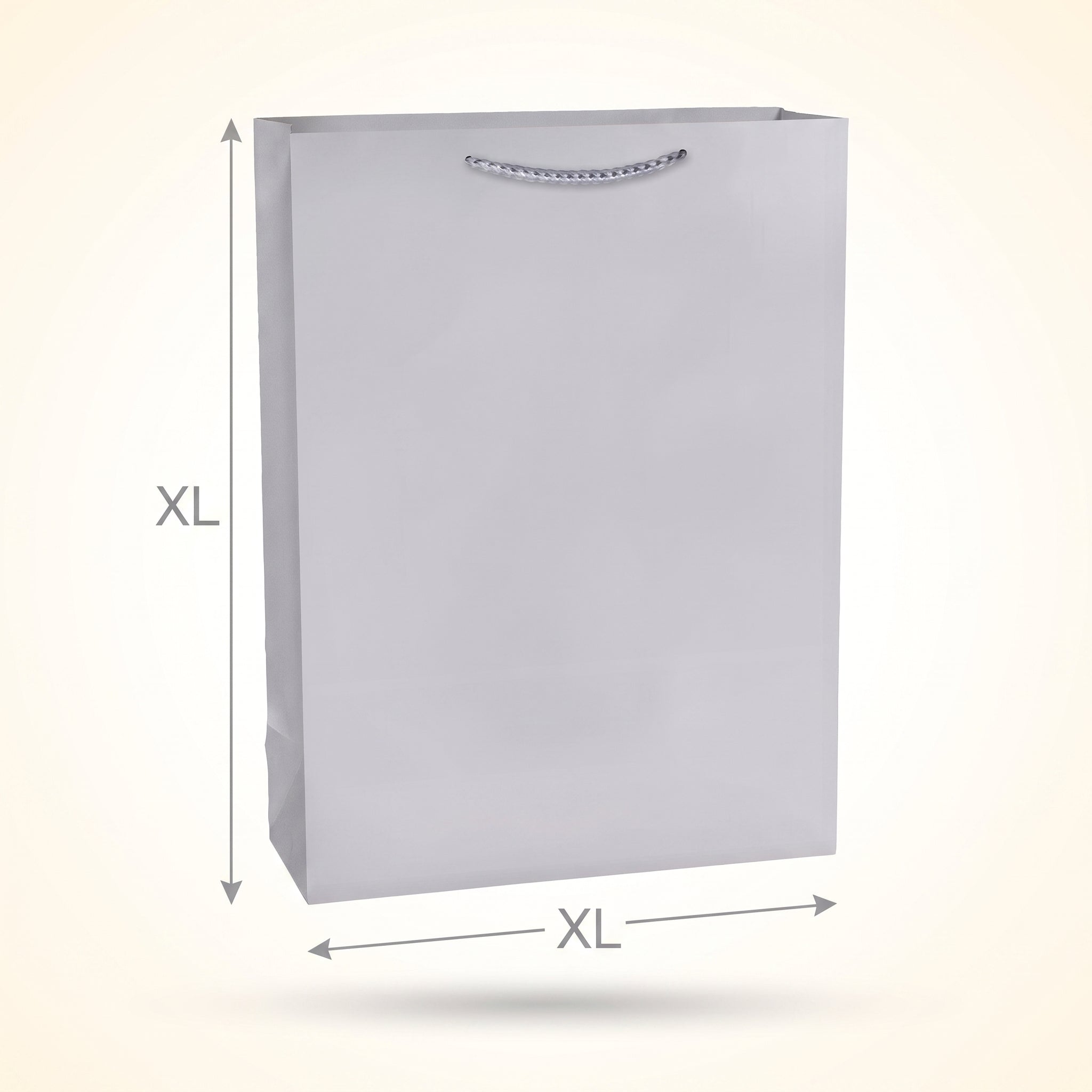 Extra Large Silver Matte Gift Bag