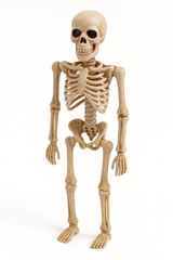 8-Inch Mini Skeleton Halloween Decoration