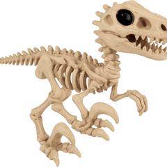 Halloween Skeleton T-Rex Decoration - 8.5" Indoor Prop