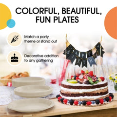 10 In. Ivory Plastic Plates | 100 Count