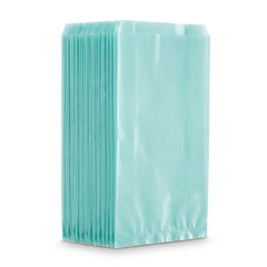 Robin's Egg Blue Large Cello Party Treat Bags, 11.5-Inch, 25-Pack