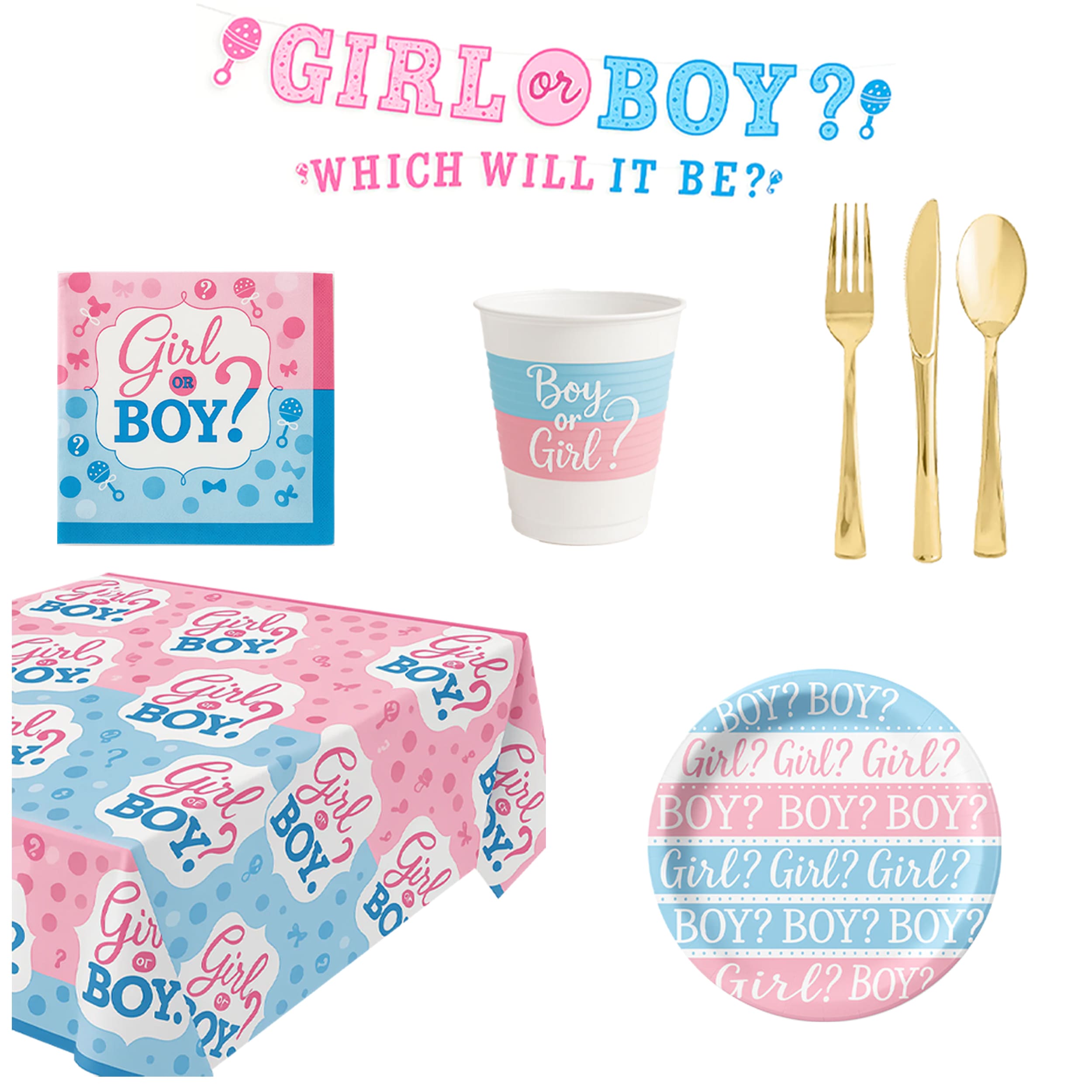 Gender Reveal Party Kit - For 16 Guests