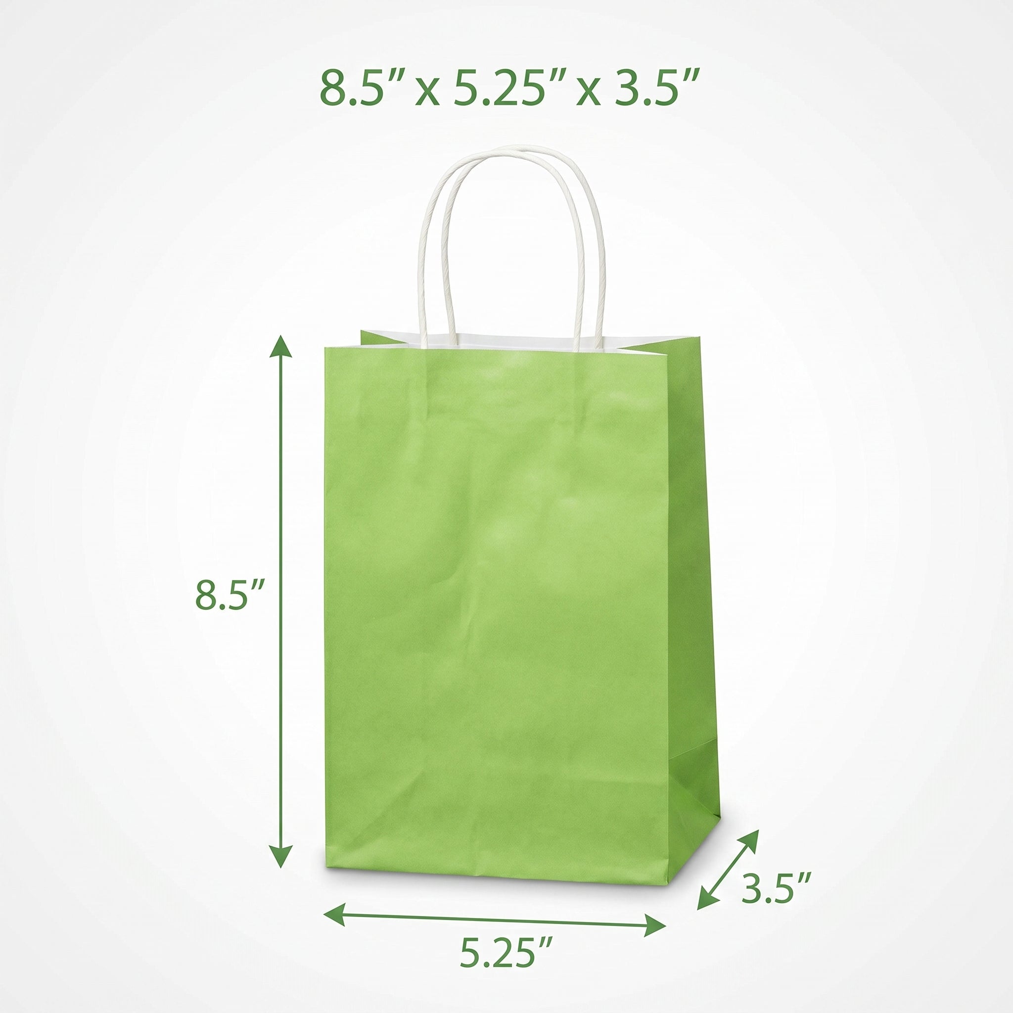 Small Kiwi Kraft Gift Bag