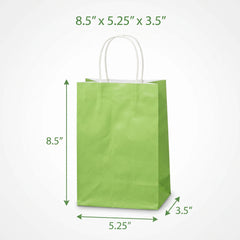 Small Kiwi Kraft Gift Bag
